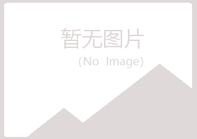 银川晓夏咨询有限公司